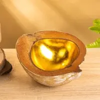 Чаша из кокоса, 18&times;18&times;10 см, бежево-золотая