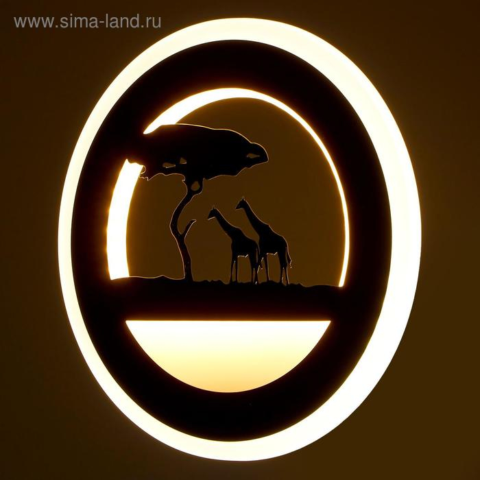 Бра Бра "Жирафы" LED 24Вт 3000-4000К черный 22х3,8х22 см