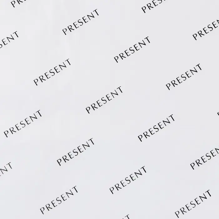 Бумага упаковочная тишью &laquo;Present&raquo;, белая, 50 х 70 см