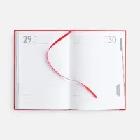 Ежедневник Baza, датированный, красный