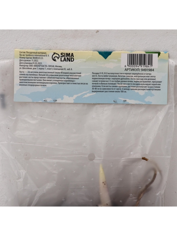 Хоста Fragrant Bouquet, корневище в пакете с торфогрунтом, р-р I, размер ML,1 шт.