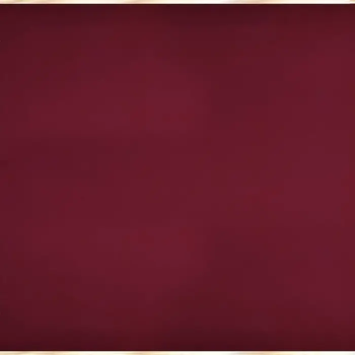 Пленка для цветов матовая, &laquo;С золотым тиснением&raquo;, 57&times;57 см, красная