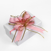 Бант-бабочка №5 Бант-бабочка №5