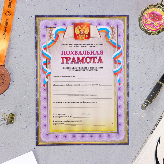 Папка "Портфолио старшеклассника", 8 грамот, А4