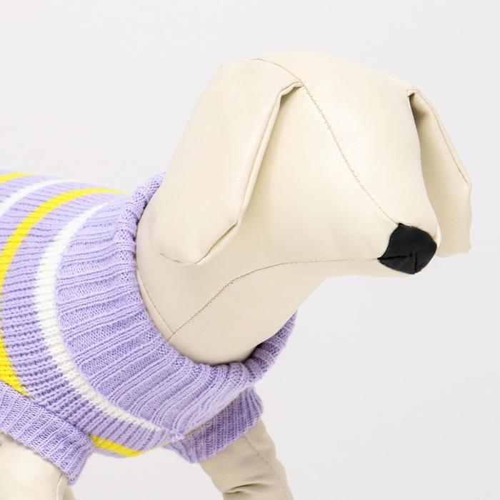 Свитер Свитер "Полоски", 2XL (ДС 41, ОШ 41, ОГ 36-60 см)