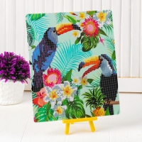 Алмазная вышивка с частичным заполнением &laquo;Туканы&raquo;, с подставкой, размер картины: 21 &times; 25 см