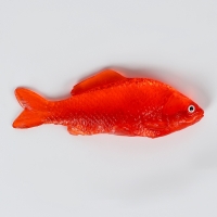 Липучка &laquo;Рыбка&raquo;, цвета МИКС