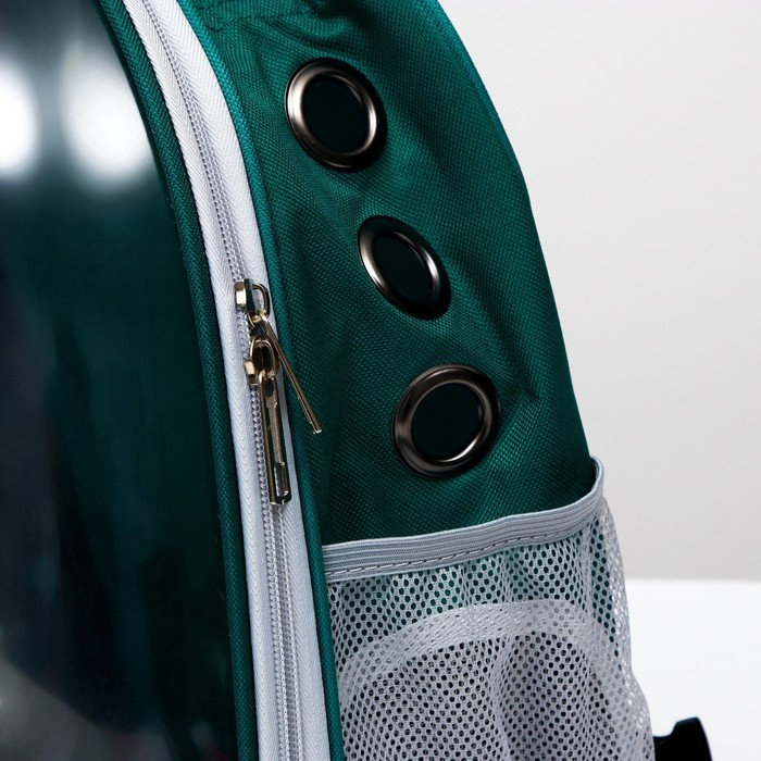 Рюкзак для переноски кошек и собак, прозрачный, 31 х 28 х 42 см, зелёный