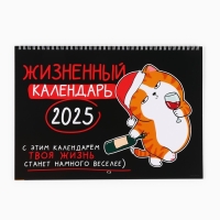 Календарь 2025 настенный, на спирали &laquo;Новый год: Жизненный&raquo;, 34 х 24 см