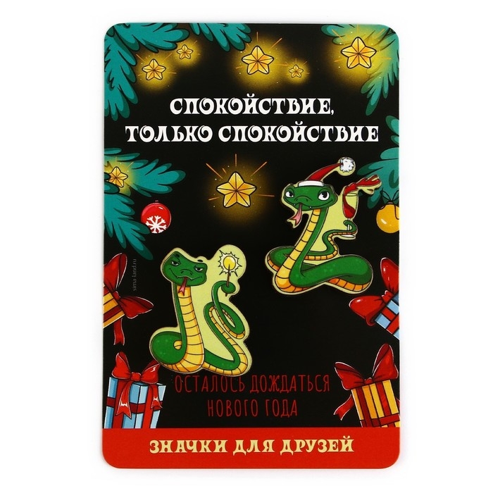 Значки новогодние &laquo;Новый год: две змейки&raquo;, набор, 2 шт
