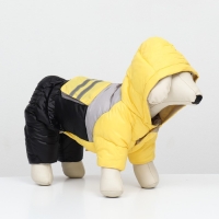 Комбинезон "Анорак" светоотражающий, размер 16 (ДС 36, ОГ 46, ОШ 35 см), чёрно-жёлтый Комбинезон "Анорак" светоотражающий, размер 16 (ДС 36, ОГ 46, ОШ 35 см), чёрно-жёлтый