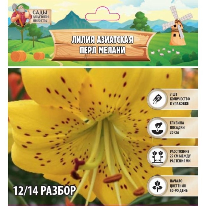 Лилия Азиатская Лилия Азиатская "Перл Мелани", р-р 12/14, 3 шт,