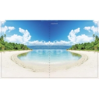 Тетрадь 96 листов в клетку Calligrata "Прекрасная пора", обложка мелованный картон, блок офсет, МИКС