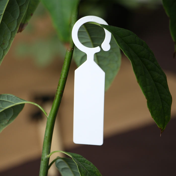 Бирки садовые для маркировки, 10,5 см, набор 20 шт., маркер, пластик, белые, Greengo