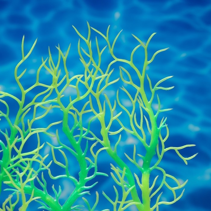 Растение искусственное аквариумное, светящееся, 20 см, зелёное Растение искусственное аквариумное, светящееся, 20 см, зелёное