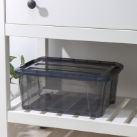 Контейнер для хранения с крышкой &laquo;Кип&raquo;, 11 л, 37,5&times;28,5&times;16 см, цвет чёрный прозрачный