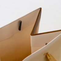 Новый год. Пакет подарочный новогодний под бутылку «С новым годом!», 13 x 36 x 10 см. Новый год. Пакет подарочный новогодний под бутылку «С новым годом!», 13 x 36 x 10 см.