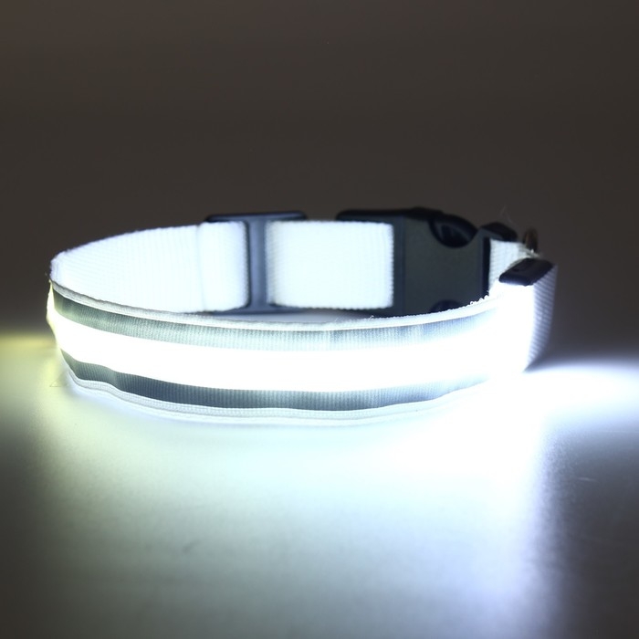 Ошейник с подсветкой Двойная полоса размер L, ОШ 45-52 х 2,5 см, 3 режима свечения белый Ошейник с подсветкой Двойная полоса размер L, ОШ 45-52 х 2,5 см, 3 режима свечения белый