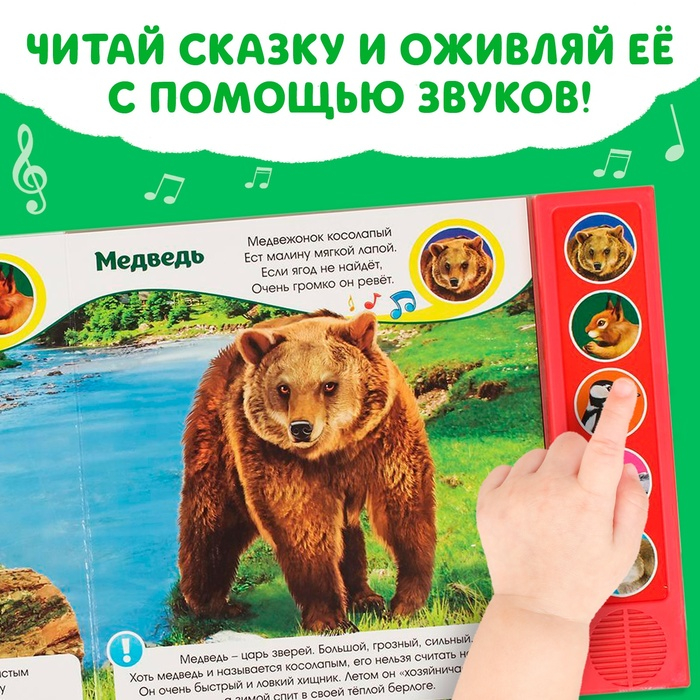 Музыкальная книга «Звуки леса», 10 стр. Музыкальная книга «Звуки леса», 10 стр.