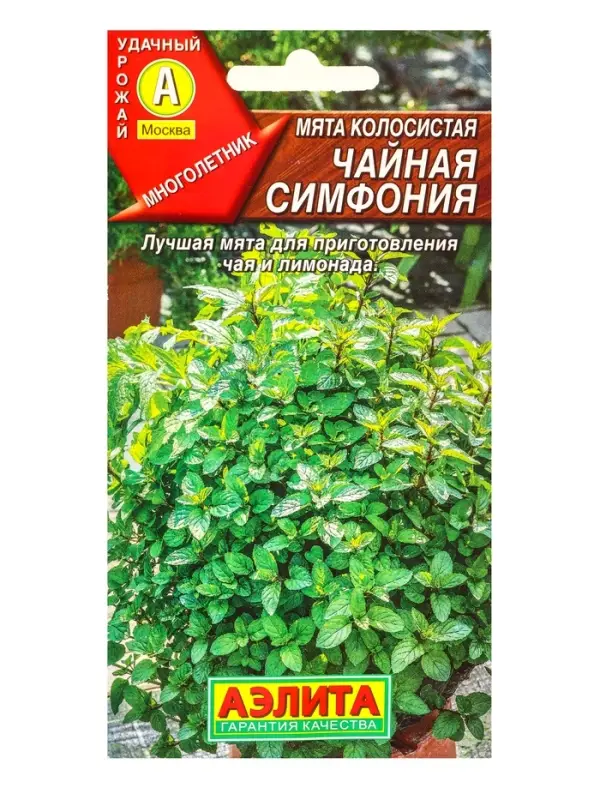 Семена Мята колосистая Чайная симфония, Ц/П,0,05 г