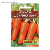 Семена Морковь "Шантенэ Роял" "Лидер", 2 г   ,