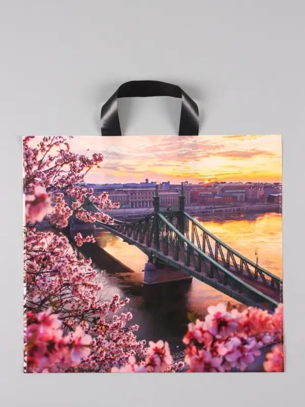 Пакет "Дунай", полиэтиленовый с петлевой ручкой, 38 х 34 + 3 см, 70 мкм