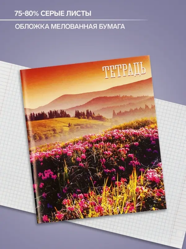 Тетрадь 48 листов в клетку, Calligrata &laquo;Времена года&raquo;, серые листы, МИКС