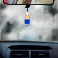 Ароматизатор в автомобиль на 23 Февраля (2 шт) &laquo;Осторожно! Крутой мужик!&raquo;, аромат: цитрус, новая машина