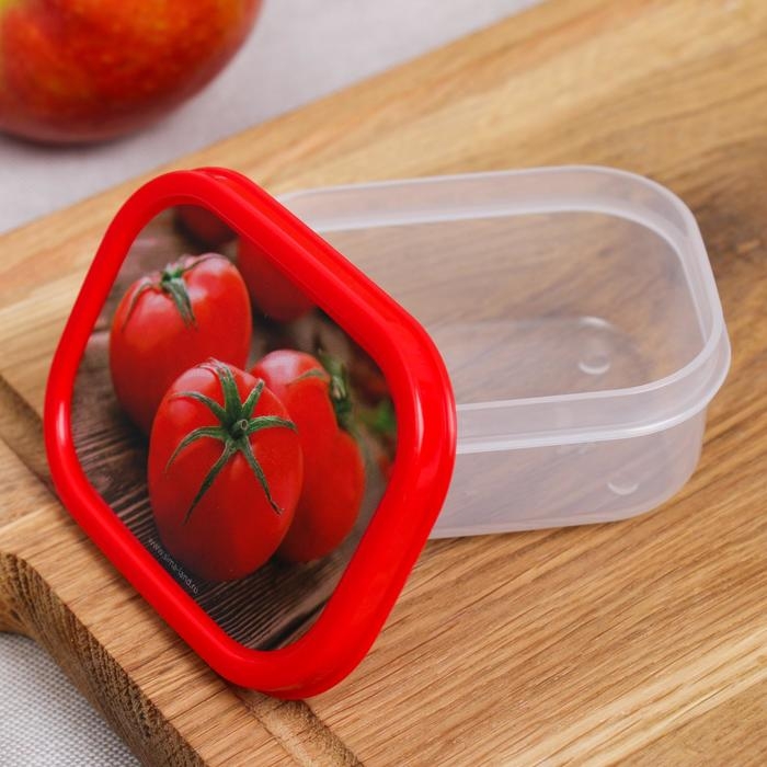 Ланч-бокс прямоугольный FoodVibes &laquo;Томаты&raquo;, 150 мл
