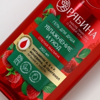 Шампунь для волос, питающий уход, аромат малины, 250 мл, Рябина Шампунь для волос, питающий уход, аромат малины, 250 мл, Рябина