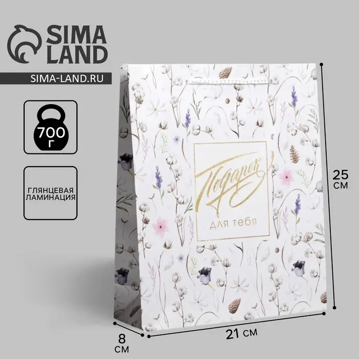 Пакет подарочный ламинированный, упаковка, Gift for you, ML 21 х 25 х 8 см