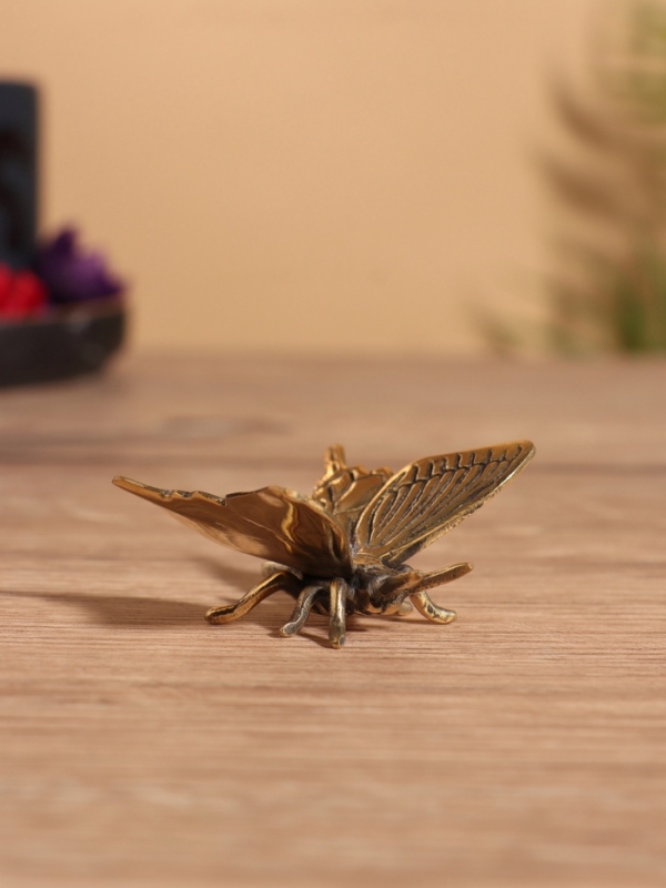 Сувенир бронза "Бабочка" 5х5х2 см