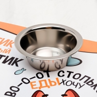 Коврик под миску &laquo;Во-о-от столько еды хочу&raquo;, 43х28 см