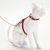 Комплект амуниции "Жаккард", поводок 120 х 1 см, красный