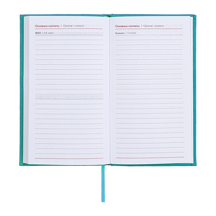 Еженедельник датированный 2025 года, 85х145 мм, 64 листа ESCALADA, твердая обложка из искусственной кожи, блинтовое тиснение, блок 70 г/м&sup2;, бирюзовый