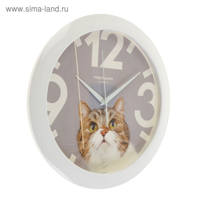 Часы настенные, серия: Животный мир, "Кот", d=29 см, белый обод