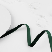 Лента бархатная, 10 мм, 18 ± 1 м, цвет зелёный №165 Лента бархатная, 10 мм, 18 ± 1 м, цвет зелёный №165