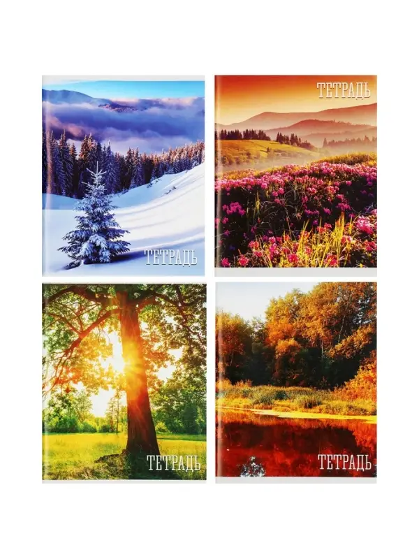 Тетрадь 48 листов в клетку, Calligrata &laquo;Времена года&raquo;, серые листы, МИКС