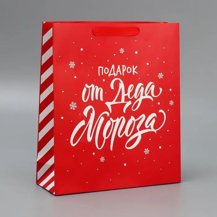 Набор новогодних пакетов &laquo;Новогодний подарок&raquo;