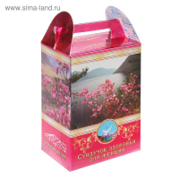 Подарочный набор &laquo;Сундук&raquo;, женское здоровье: 3 безалкогольных бальзама