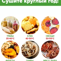 Сушилка для овощей и фруктов VL-FD521090