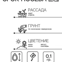 Семена цветов однолетние Бальзамин Том Самб 0,1 г