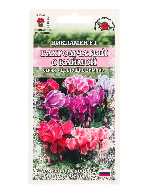 Семена Ком: Цикламен Бахромчатый с каймой /Сотка/ 3 шт/ h-30см d-5см/*1500