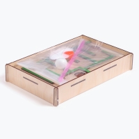 Обучающий набор &laquo;Логопедический тренажёр. Лабиринт&raquo;