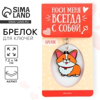 Брелок для ключей акриловый «Корги», 7.2 х 14 см Брелок для ключей акриловый «Корги», 7.2 х 14 см