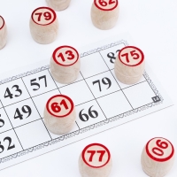 Лото Русское, деревянное, настольная игра "С 23 февраля", с бочонками Лото Русское, деревянное, настольная игра "С 23 февраля", с бочонками