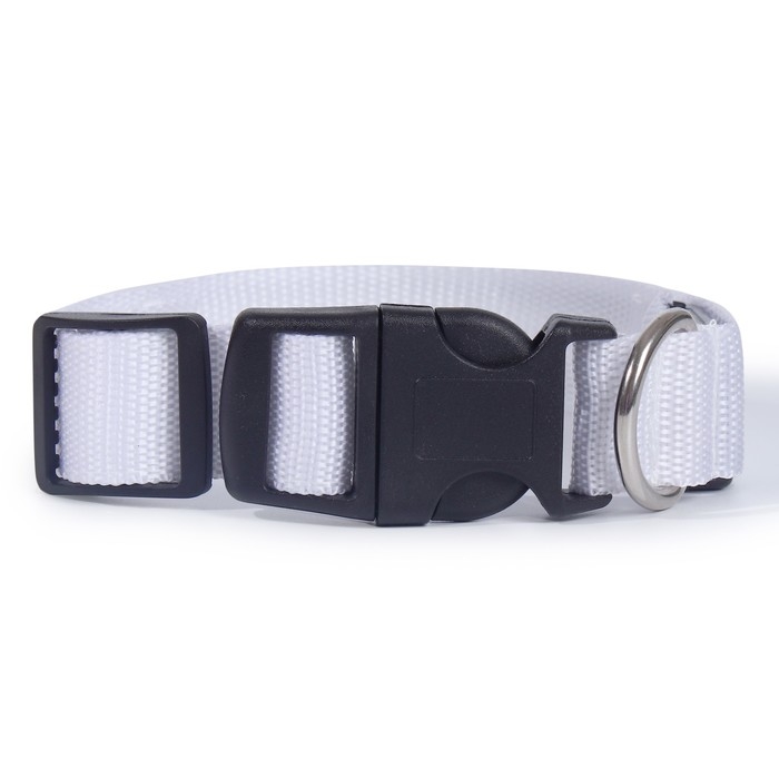 Ошейник с подсветкой Двойная полоса размер S, ОШ 35-43 х 2,5 см, 3 режима свечения белый