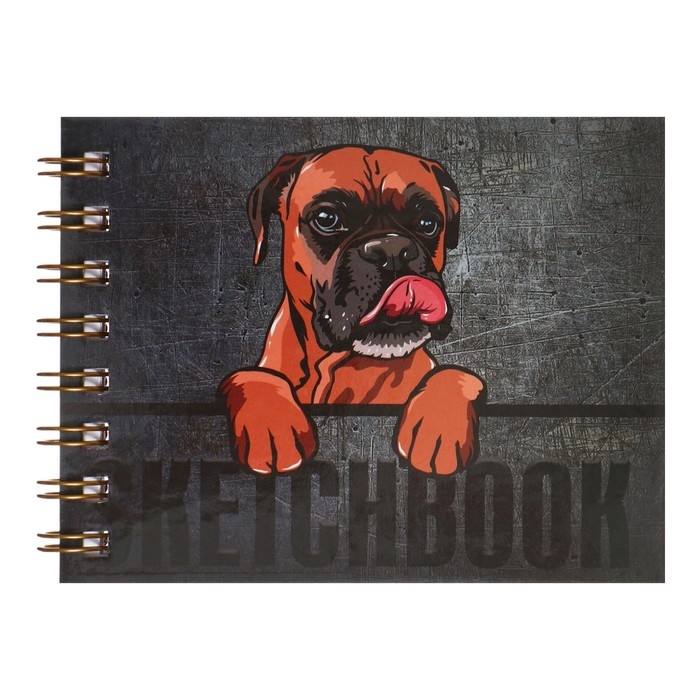 Скетчбук А6, 80 листов на гребне по короткой стороне "Дружок", твёрдая обложка, блок 100 г/м&sup2;