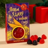 Мармелад в коробке &laquo;Лови удачу в новом году&raquo; ягоды, 50 г.