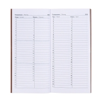 Еженедельник датированный 2025 года, 80х165 мм, 64 листа ESCALADA, мягкая обложка из искусственной кожи, блинтовое тиснение, блок 70 г/м&sup2;, бежевый